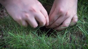 Noyafa NF-826 Underground Cable Detector |A Remarkable and Brilliant Advancement in Technology!