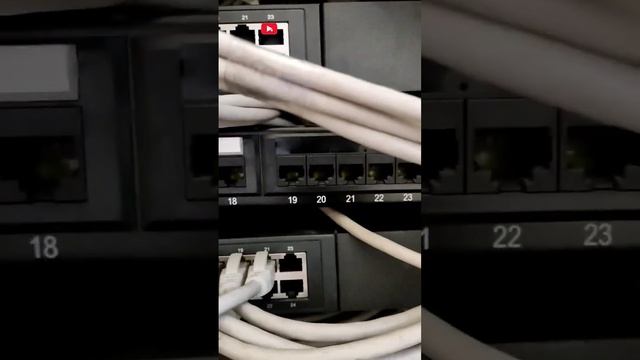 HOW TO INSTALL TP-LINK 24-PORT GIGABIT SWITCH?@TechnicalGuruji @FactTechz @Technoblade #tech смотреть онлайн