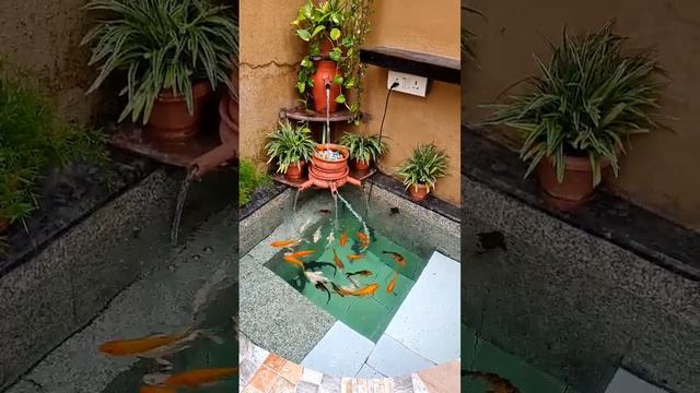 Aqua-scaping | water Fountain | My Hobby | Handmade Teracota Fountain | koi fish fountain | koi pon смотреть онлайн