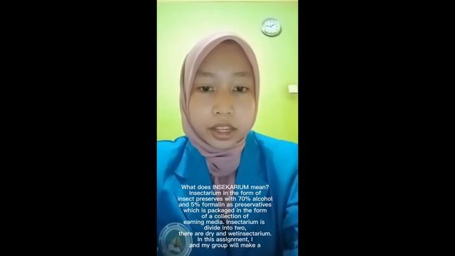 INSEKTARIUM || Butterfly смотреть онлайн