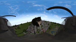 Maxwell The Cat 360° VR