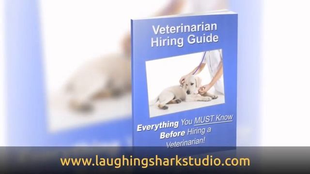 Vet Powerpoint Explainer Lead Generation Marketing Video United Kingdom UK Voice Over смотреть онлайн