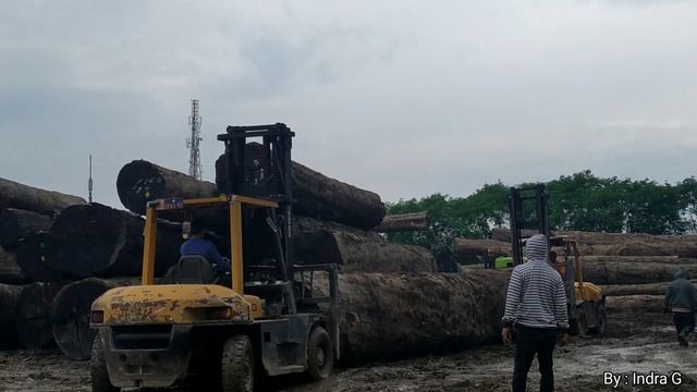 Beli Log Kayu Merbau Super Besar I @IndraGunawanST смотреть онлайн