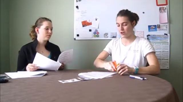 Gaudet, C - Mediator Video Demonstration смотреть онлайн