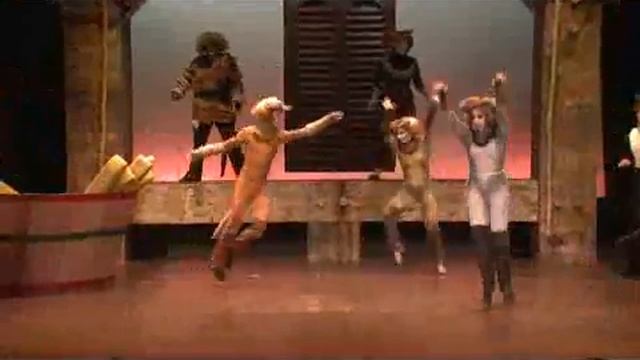 Jellicle Songs For Jellicle Cats