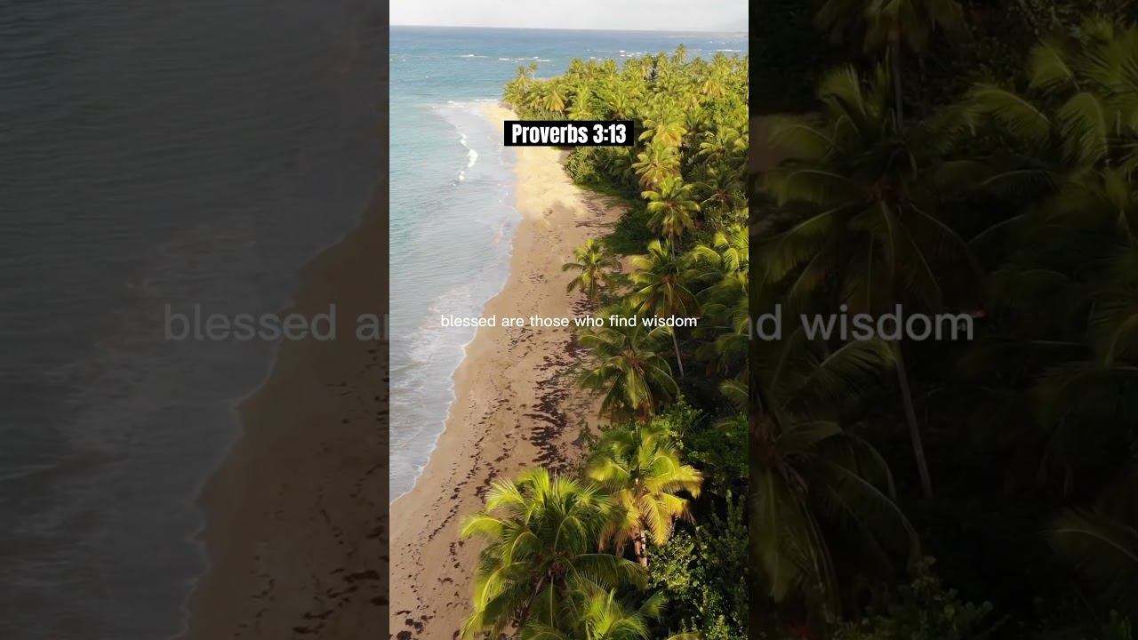 Blessed are those who find wisdom - Motivational🙏 смотреть онлайн