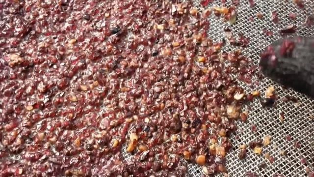 GARIMPO de DIAMANTES e de PEDRAS PRECIOSAS #EP01- BRASIL E SUAS RIQUEZAS смотреть онлайн