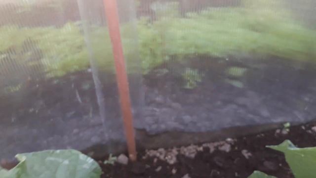 Study Abroad Adventures