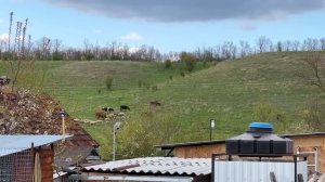 ОБКАТКА  нашей новой самоходной ГАЗОНОКОСИЛКИ
