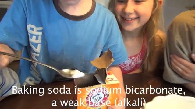 Family Turns Violets to pH Indicator (acid/base) смотреть онлайн