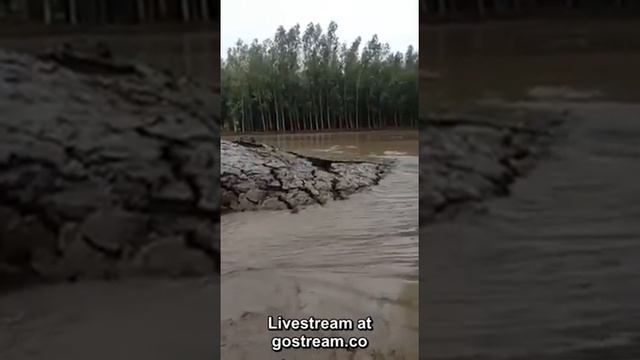 Необычную природную аномалию засняли в Индии смотреть онлайн
