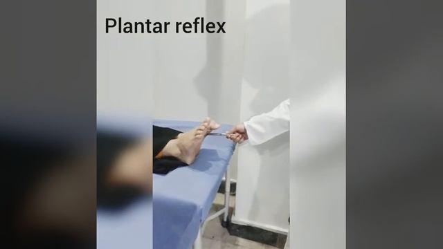 How to check superficial reflexes and bibinski's sign? смотреть онлайн