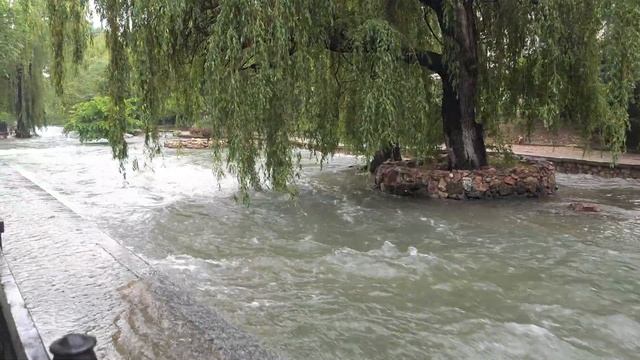 Полноводный Салгир в Симферополе 🌳🌿🦆🌊💦 смотреть онлайн
