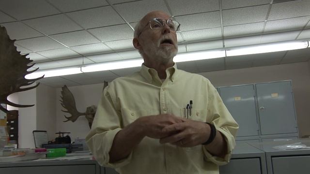 Flesh Eating Beetles Help Clean Bones смотреть онлайн