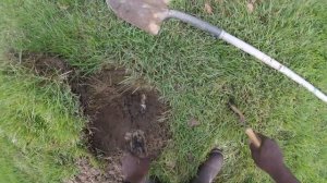 Hunter PGP Sprinkler Head & Solenoid Repair