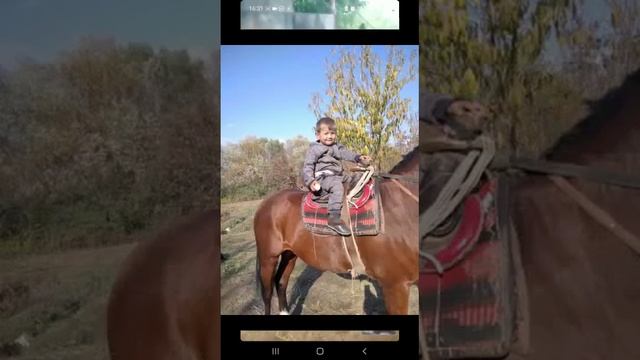 Аспхои шодравон Чуракул ш.хисор Худо Рахмат кунад смотреть онлайн