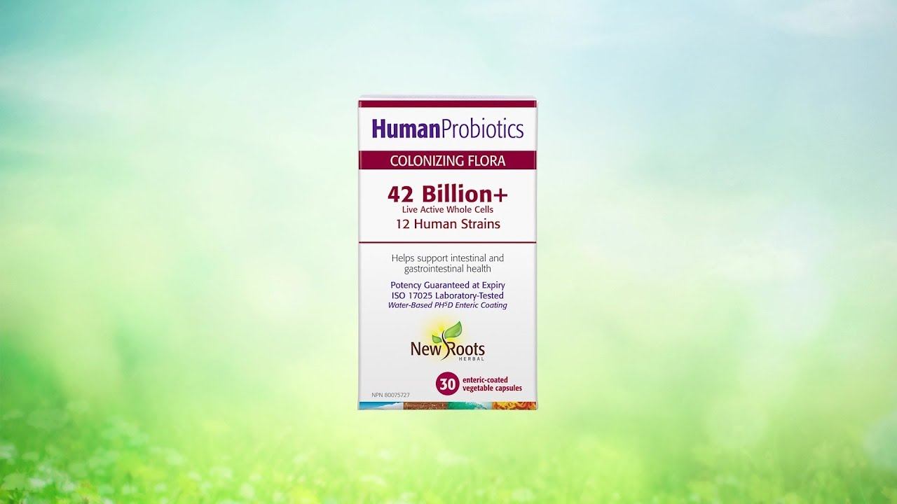 Human Probiotics смотреть онлайн