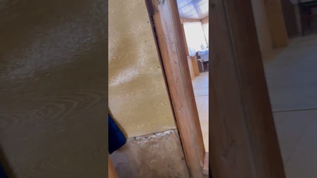 СНТ Паленый мыс-1 Дом смотреть онлайн