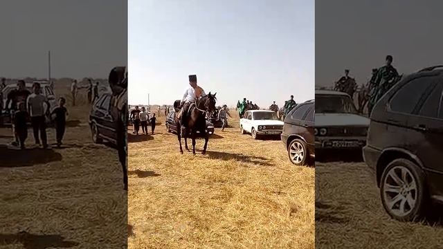 День Адыгов 20.09.2017 смотреть онлайн