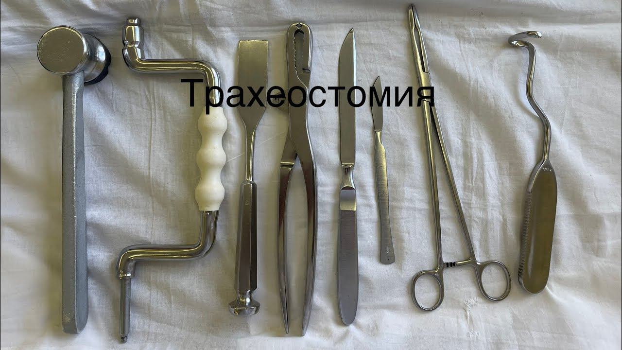 Топографическая анатомия: Трахеостомия смотреть онлайн