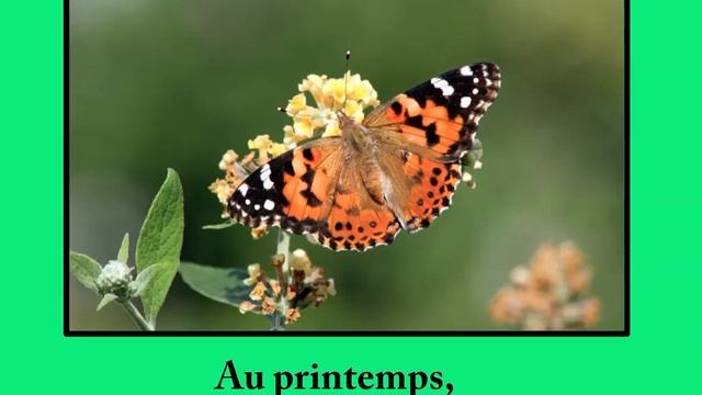 Dans mon jardin смотреть онлайн
