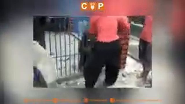 орангутан смотреть онлайн
