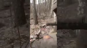 Олег сказал, поехали,...
