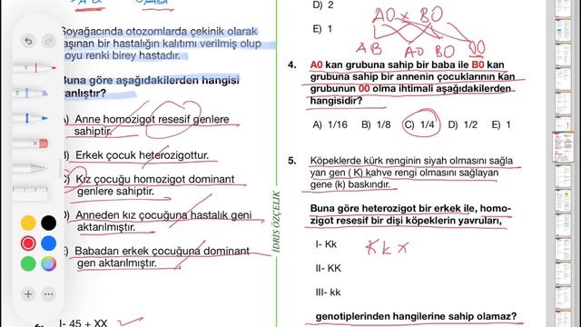 Kolay Sorularla Biyoloji Öğrenin Ders No: 21 смотреть онлайн