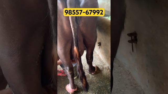 21 October 2023 смотреть онлайн