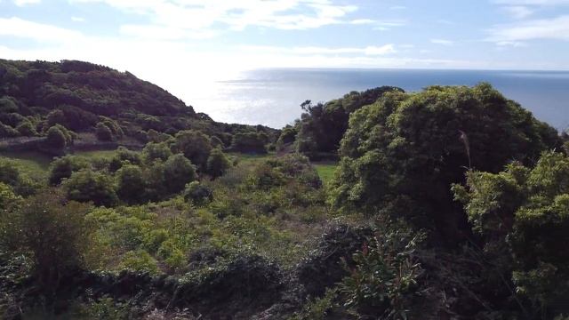 REF 11 - Calheta de Nesquim- Ilha do Pico смотреть онлайн