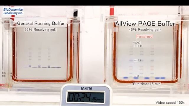 AllView PAGE Buffer смотреть онлайн