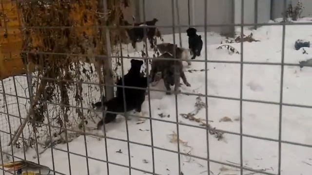 V 20170103 092724 смотреть онлайн