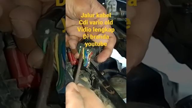 jalur kabel soket Cdi Vario old#shortsvideo #shortsvideo смотреть онлайн
