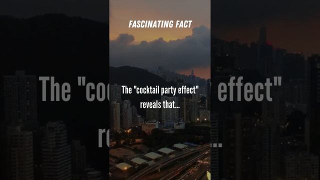 How Your Brain Can Focus on One Conversation Amidst Background Noise : The Cocktail Party Effect смотреть онлайн