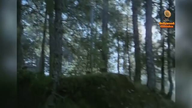 Honeymoon Movie Songs | Anil Dhawan & Leena Chandavarkar | Asha & Kishore Hits | Jukebox смотреть онлайн