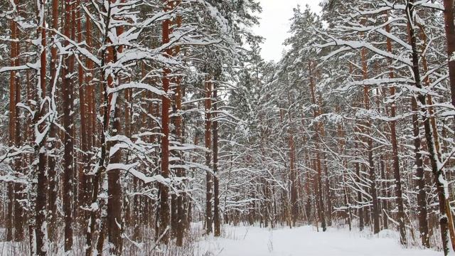 Заснеженный февраль смотреть онлайн