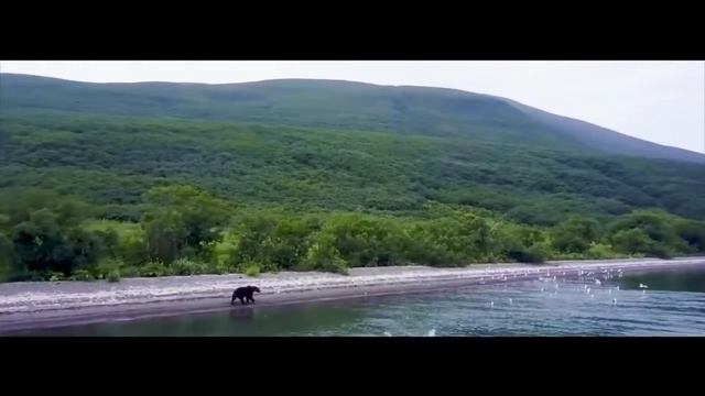 Основание компании смотреть онлайн