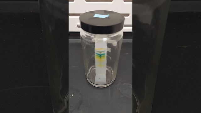 TLC of Spinach Extract смотреть онлайн