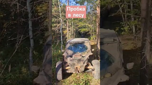 Пробка из квадроциклов в лесу квадрики и багги #квадроциклы #atv #покатушки смотреть онлайн