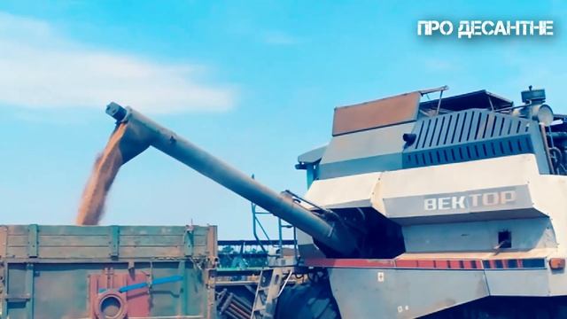 Жнива -2021 у Десантному / Rostselmash Vector смотреть онлайн