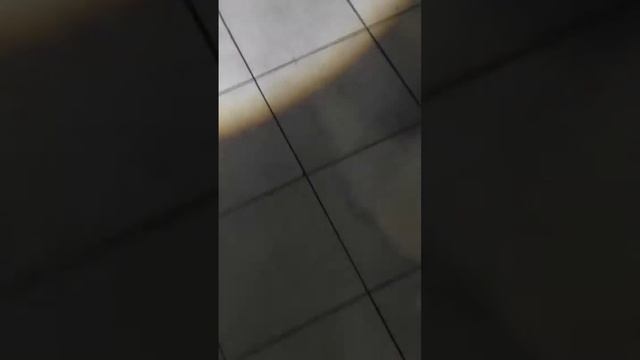 Откачка воды из подвала кафе под 0 смотреть онлайн
