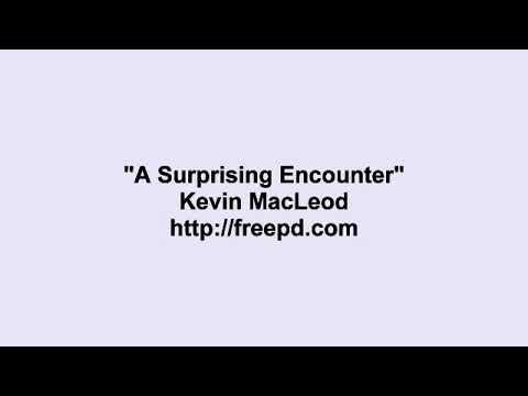 Kevin MacLeod ~ A Surprising Encounter смотреть онлайн