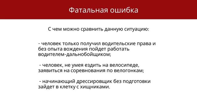 Обзор на книгу ""Фатальная ошибка" смотреть онлайн