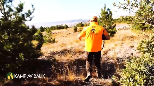 TOP 30 DOMUZ AVI EN İYİ SAHNELER- TOP 30 AMAZING WILD BOAR HUNTS - BEST SCENES, HOG HUNTS - PIG смотреть онлайн