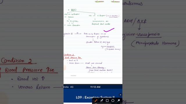 angiotensin acts on V3 receptor #chemistry #neet #biology #biologyclass смотреть онлайн