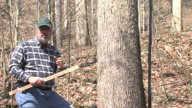 MEASURING TREE VOLUME смотреть онлайн