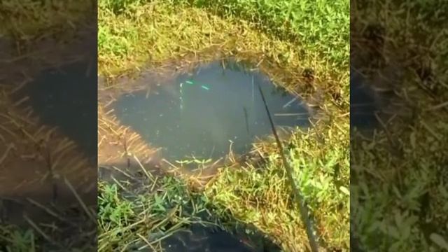 1 декабря 2023 г. смотреть онлайн