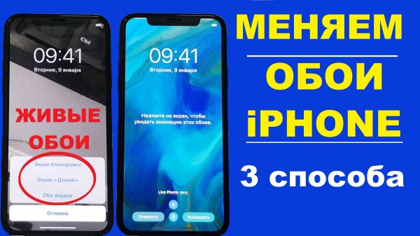 Как поставить обои на айфон / Wallpapers Iphone X,11,12,13,14,15,16