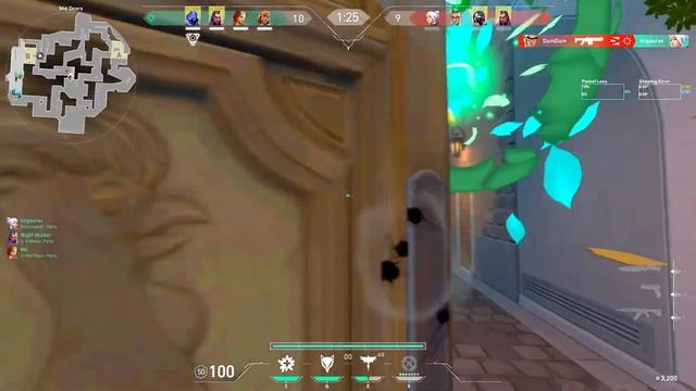the BEST AGGRESIVE SKYE in Valorant смотреть онлайн