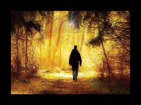 Parable By M D Ridge смотреть онлайн